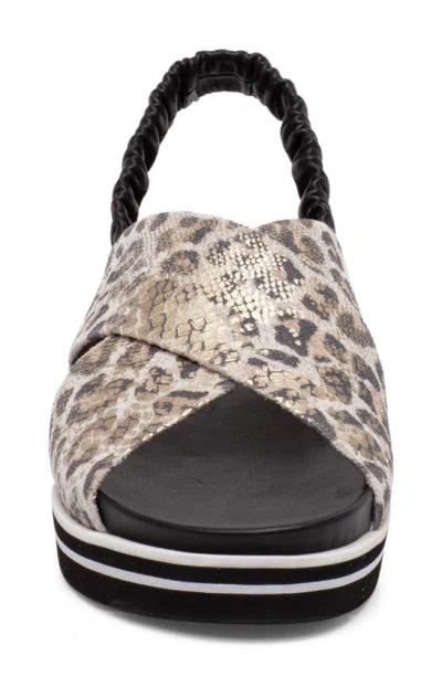 Linea Paolo Rhea Sandal In Black/ Light Gold Leather