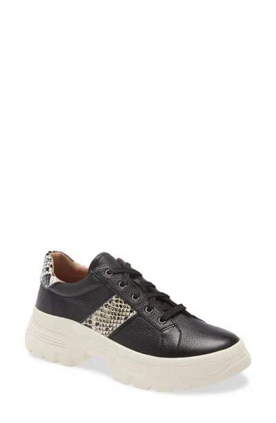 Linea Paolo Roffe Platform Sneaker In Black/ Cream/ Black Leather
