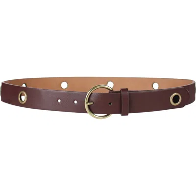 Linea Pelle Eyelet Belt In Brown