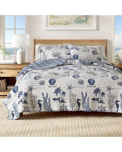 Linery & Co . Catalina Navy Nautical Pattern Quilt Set In Multi