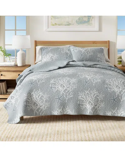 Linery & Co . Fenwick Coastal Quilt Set With Shams In Gray