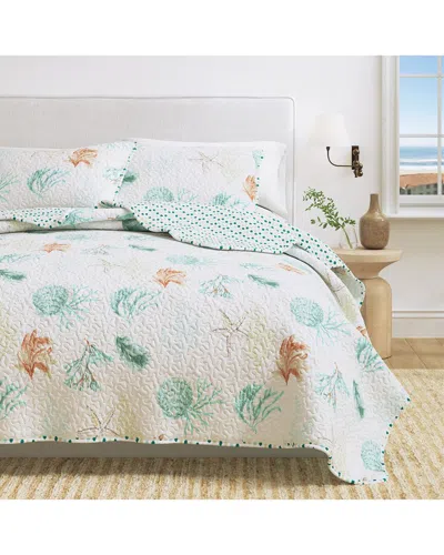 Linery & Co . Key West Seashell Quilt Set With Shams In White