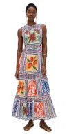 Lingua Franca Marcia Sleeveless A-line Maxi Dress In Ceramic Print