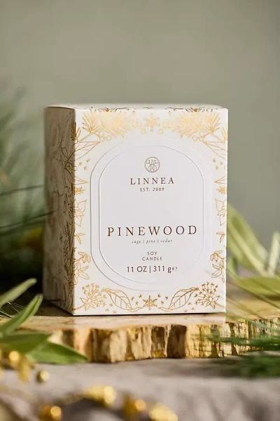 Linnea Candle, Pinewood