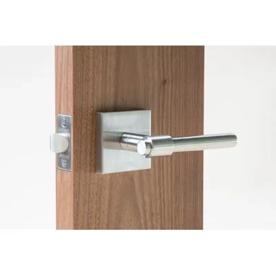 Linnea Passage (hall & Closet) Door Lever In Stainless Steel
