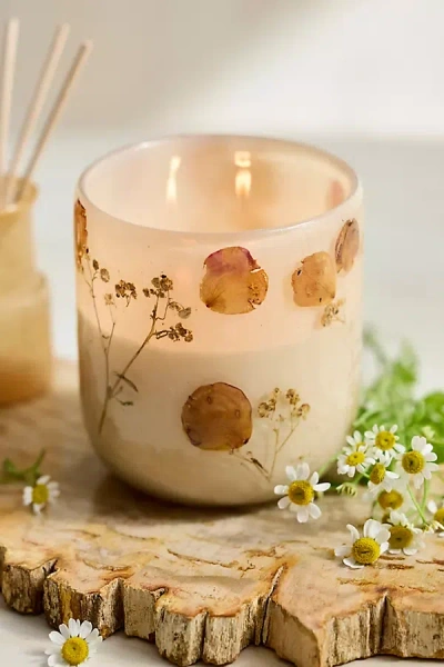 Linnea Pressed Floral Candle In Neutral