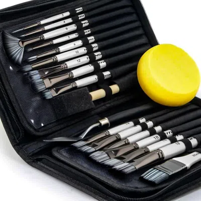Linqz Art Paint Brush Kit 16 Paint Brushes With Foam Brush Sponge Spatula And Art Case For Oil, Acrylic, W In Black