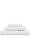Linum Home Textiles Denzi 3pc Towel Set