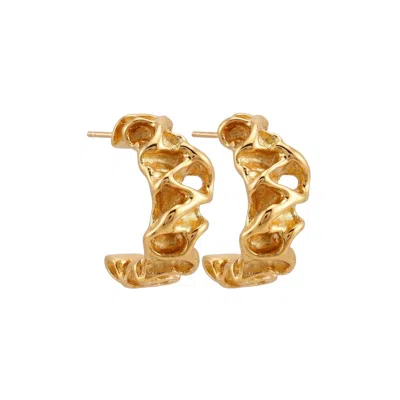 Linya Jewellery Women's Alveo Textured Hoop Silver & Gold Plated Earrings
