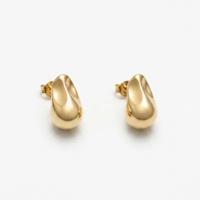 Linya Jewellery Women's Amorphous Drop Silver & Gold Plated Earrings