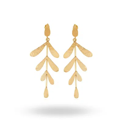 Linya Jewellery Women's Big Leaf Gold Earring