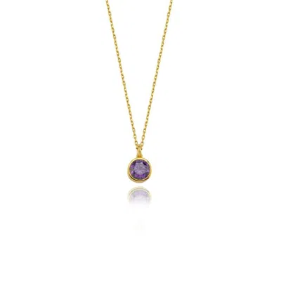 Linya Jewellery Women's Cosmic Chain Zodiac Necklace Purple Birthstone