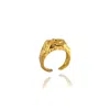 Linya Jewellery Women's Deka Amorphous Rectangular Shiny Gold Ring In Gold