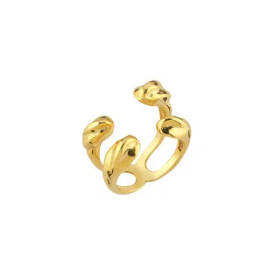 Linya Jewellery Women's Double Row Asymmetric Ring Gold