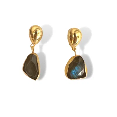 Linya Jewellery Women's Gold Natural Labradorite Earrings