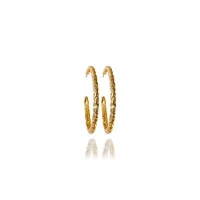 Linya Jewellery Women's Misy Amorphous Oval Big Hoop Gold Earrings