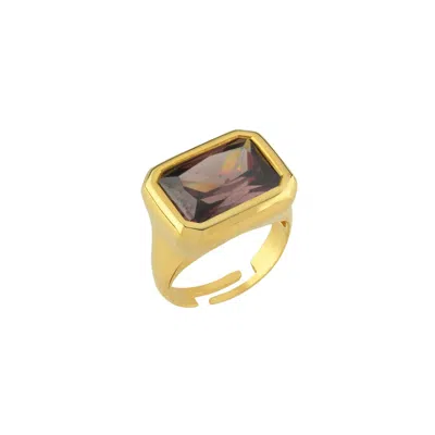 Linya Jewellery Women's Nova Large Brown Crystal Stone Ring