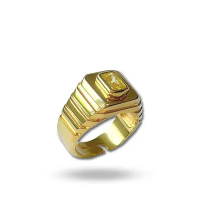 Linya Jewellery Women's Octagon Yellow Stone Signet Ring
