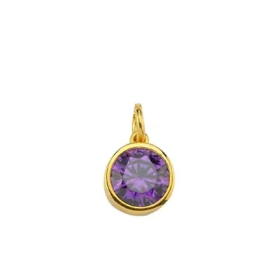 Linya Jewellery Women's Purple Birthstone Charm