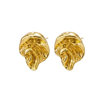 Linya Jewellery Women's Tellus Amorphous Silver & Gold Plated Earring