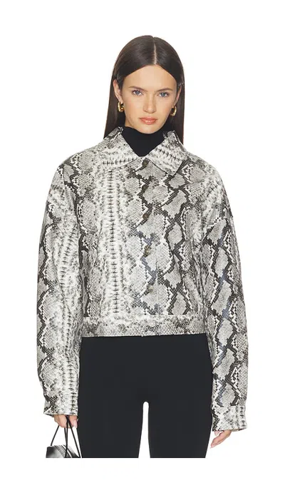 Lioness Angel Jacket In Bronze