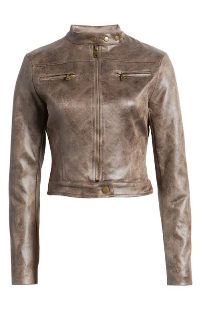 Lioness Bella Moto Jacket In Chocolate