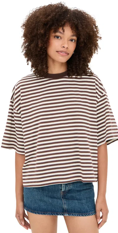 Lioness Bloom Short Sleeve Dark Chocolate Stripe In Multi