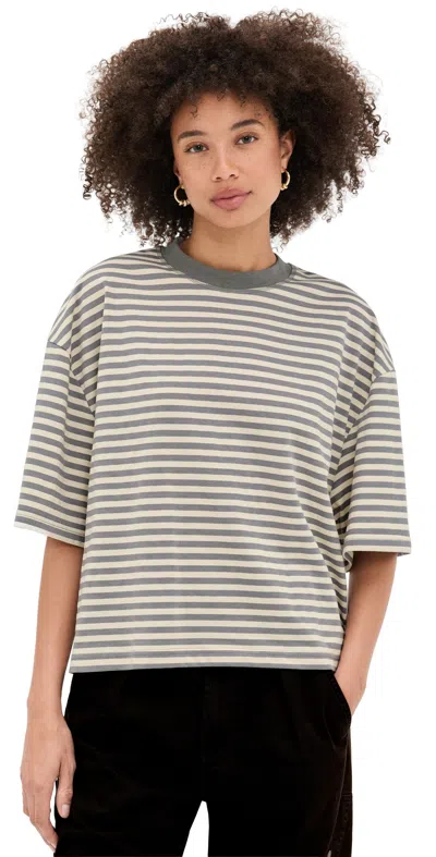 Lioness Bloom Short Sleeve Tee Ash Stripe In Gray