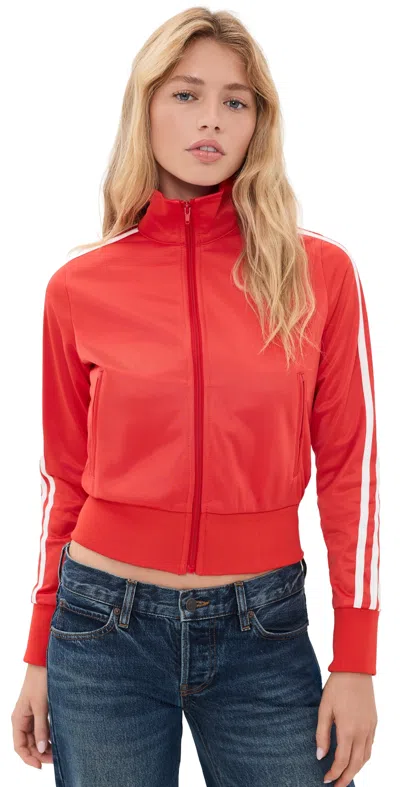 Lioness Detox Jacket Crimson