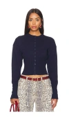 Lioness Head In Navy