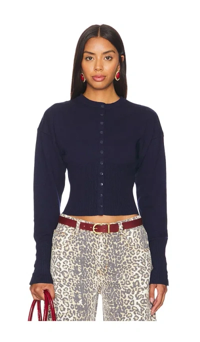 Lioness Head In Navy