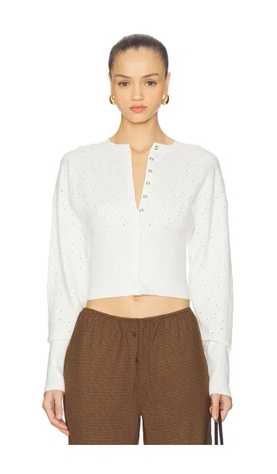 Lioness Head In White