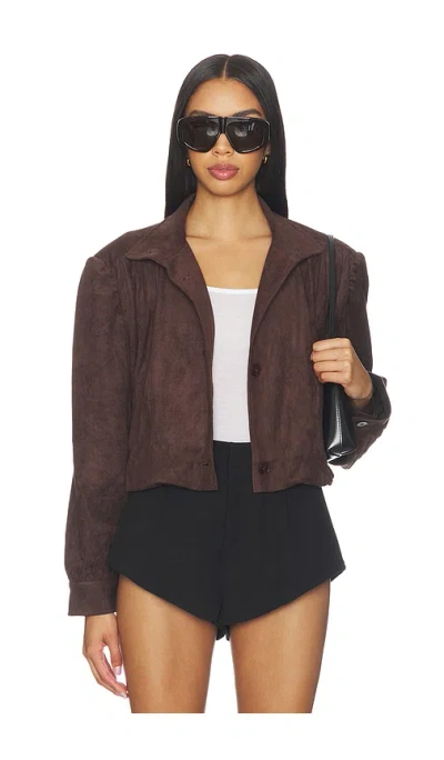 Lioness Luminous Jacket In Brown