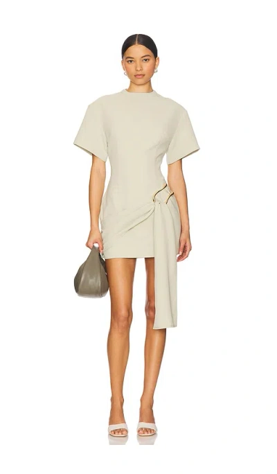 Lioness Martini Mini Dress