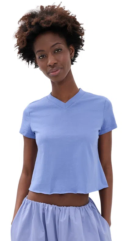 Lioness North Light Tee Persian Jewel In Purple