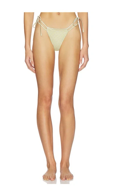 Lioness Rhode Bottom