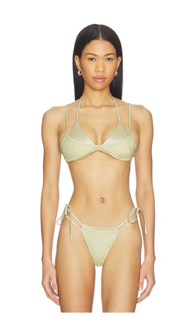 Lioness Rhode Top In Green