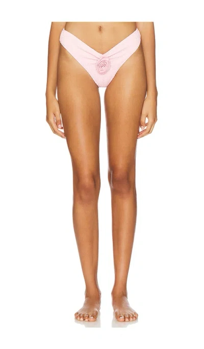 Lioness Soulmate Bottom In Blush