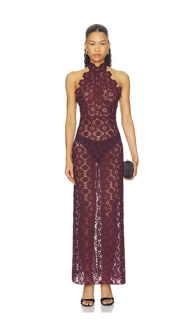 Lioness Trophy Lace Maxi Dress In Brown