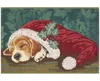 Liora Manne Esencia Nap In A Cap 2'x2'10" Area Rug In Green,red