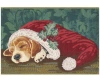 Liora Manne Esencia Nap In A Cap Rug Collection In Green,red