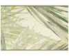 Liora Manne Esencia Palm Fan 2'5"x3'11" Area Rug In Green