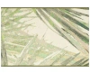 Liora Manne Esencia Palm Fan Rug Collection In Green