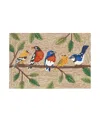 Liora Manne Frontporch Birds On A Branch Area Rug, 1'8 X 2'6 In Natural