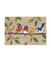 Liora Manne Frontporch Birds On A Branch Area Rug, 2' X 3' In Natural