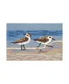 Liora Manne Frontporch Sandpipers Area Rug, 2'6 X 4' In Lake