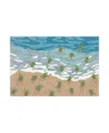 Liora Manne Frontporch Turtle Beach Area Rug, 2' X 3' In Ocean
