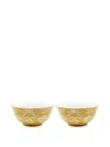 Lisa Corti Indian Tiger Bowl Set