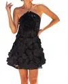 Lisa Marie Fernandez Bound By You Mini Dress In Black Floral In Black