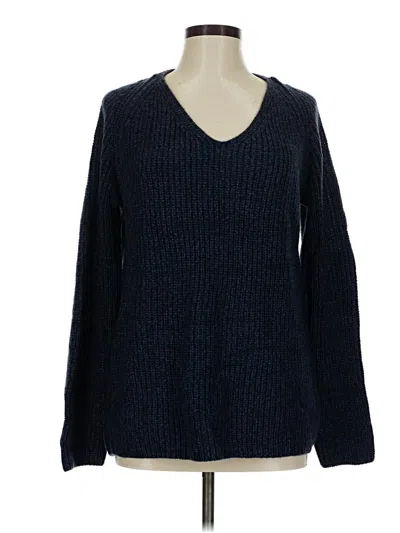 Pre-owned Lisa Rinna Pullover Sweater In Blue
